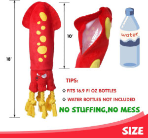 Water Bottle Toy